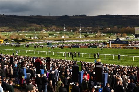 cheltenham friday tips|tips cheltenham today.